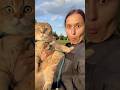 Videos de gatitos imitando a sus dueños parte 2