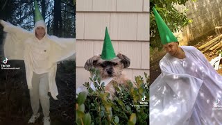 You As A Baby Meme TikTok Compilation (Whimsical Little Creature)
