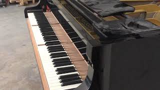 Deen As Salaam on Yamaha Grand Disklavier Piano C5 (Live), Playing MIDI File Deen As Salaam on Yamaha Grand Disklavier Piano C5 (Live), Playing MIDI File