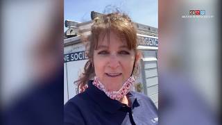 Pets on Parade: On the Road (7/11/20)