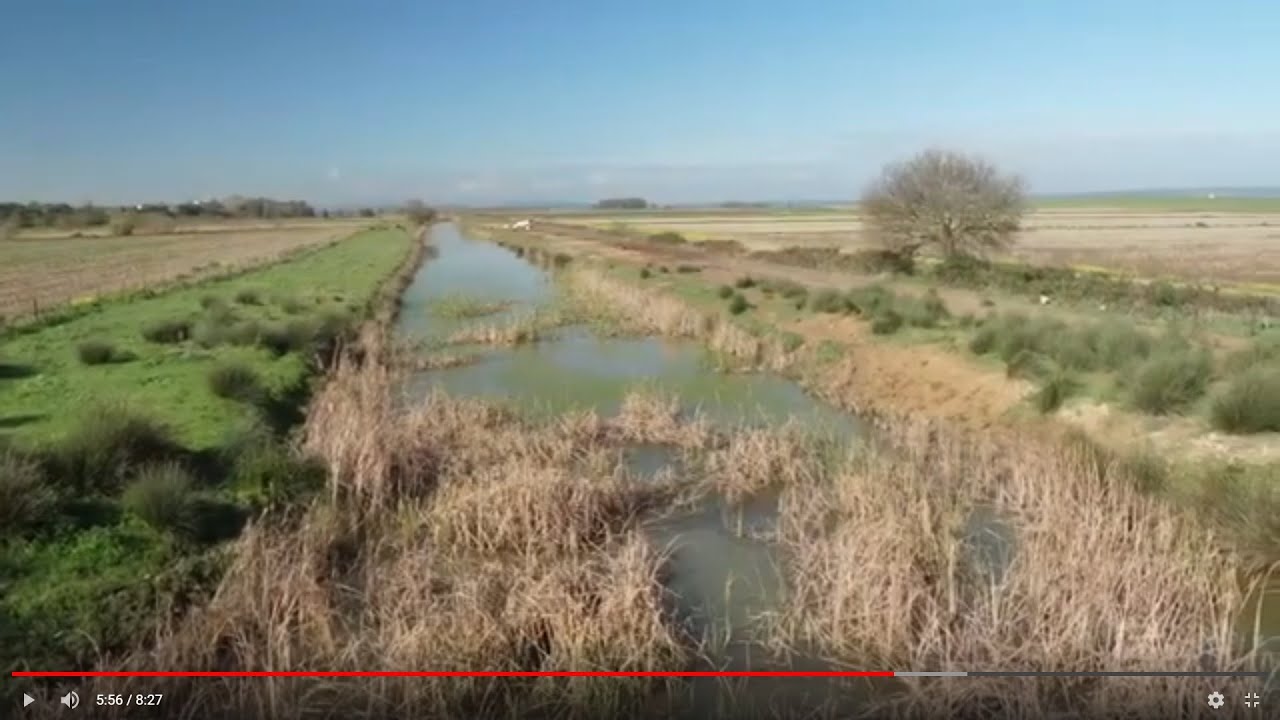 RTVT RECUPERACIÓN LAGUNA DE LA JANDA