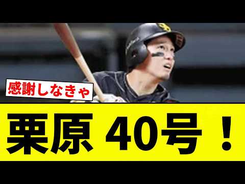 【うおおおおおおお!!】栗原 40号!【プロ野球反応集】