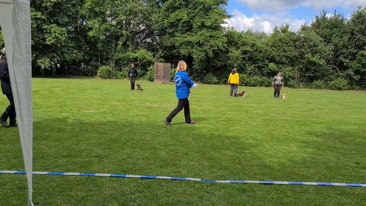 Obedience Beginner 28.05.2022 mit Akina vom kleinen Gewitter
