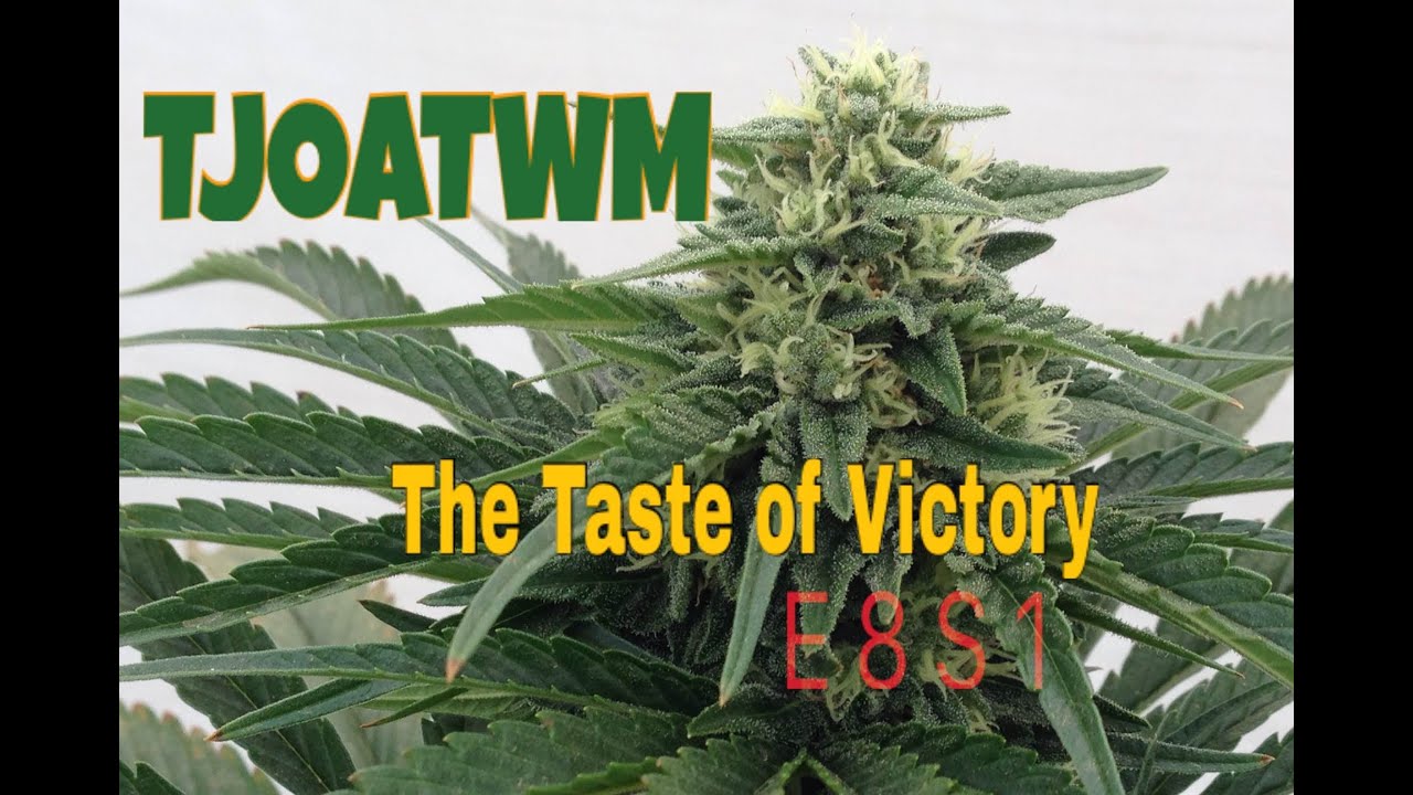 TJOATWM  E8 S1  - The Taste of Victory -