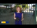 Big Fresno Fair introduces clear bag policy
