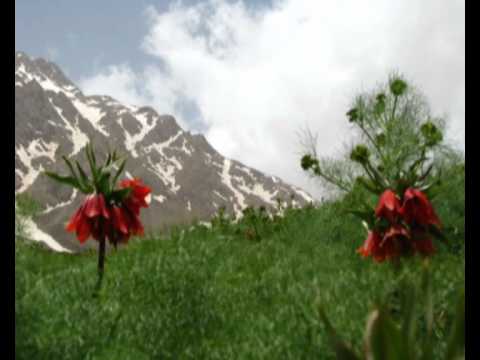 ნაწილი 1