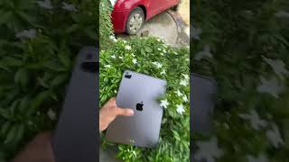 Ipad Pro Looks Stunning In Nature