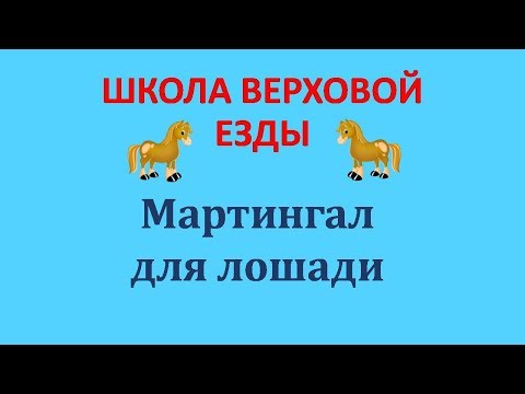 Мартингал для лошади