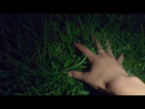 touching grass as a result of roblox criminality