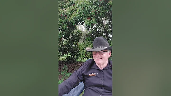 Week 41 Update Brian McManus Real Estate 