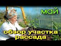 ВЕСНА _ОБЗОР УЧАСТКА _РАССАДА