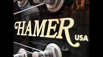 Fractal FM3, Hamer Vector USA with Seymour Duncan Custom Custom SH-11 bridge