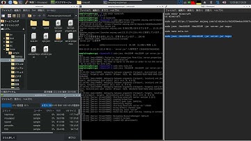 【マイクラ】ラズパイ4で公式サーバーを起動した際の負荷を確認してみた