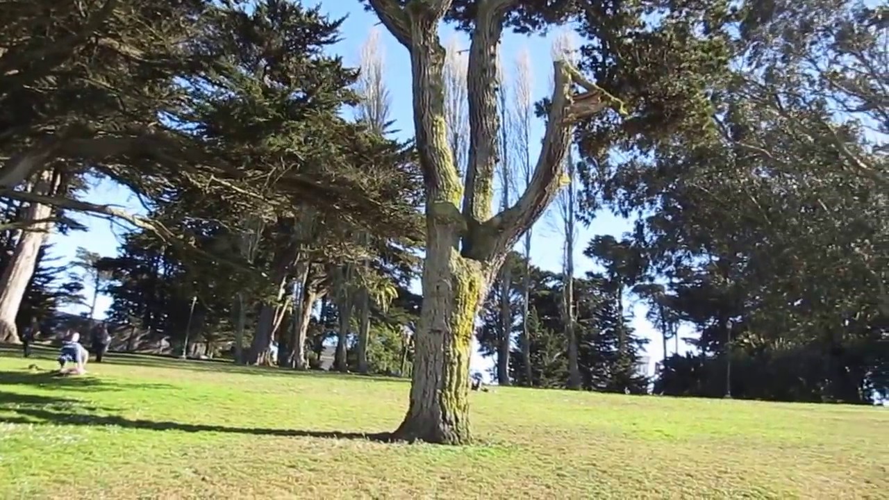 Alamo Square San Francisco California