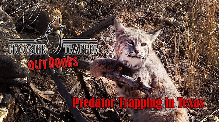 Predator Trapping in Texas - Ep.7 S.12