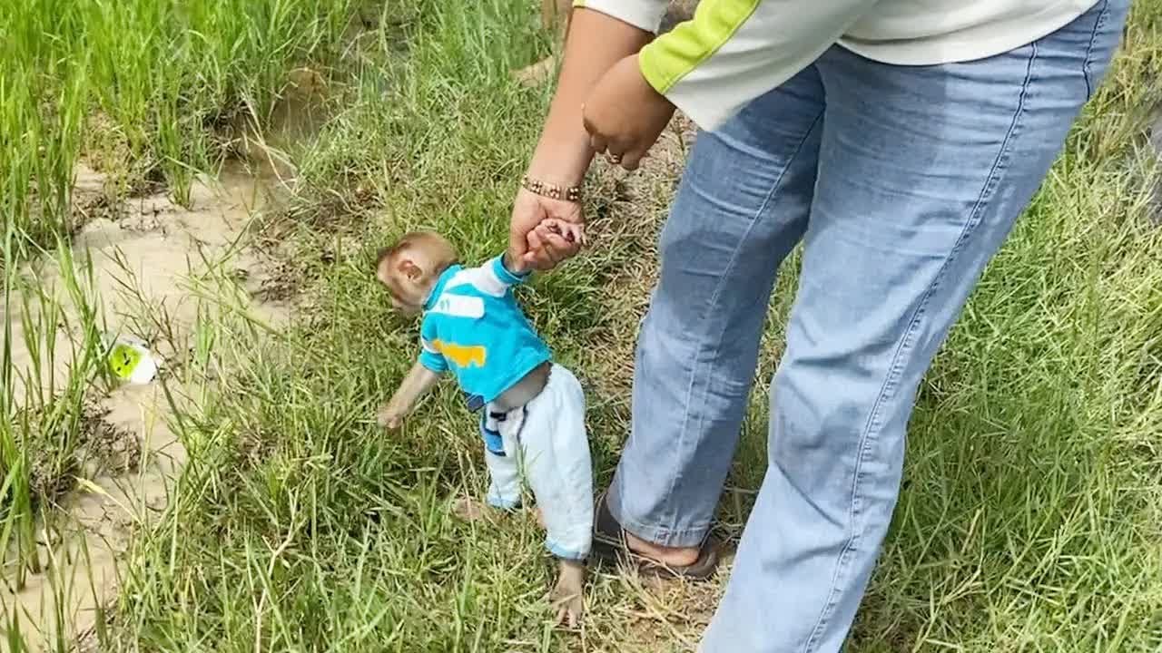 Mom Drag Hard To Get Back Home But Lil DAM Still Wanna Play At Rice Field