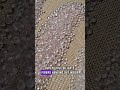Why is Rose Quartz pink? #crystals #facetedgemstones #wirewrapping #jewelrymaking