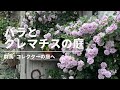 バラとクレマチスの庭