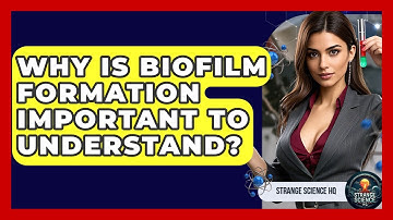 Why Is Biofilm Formation Important To Understand? - Strange Science HQ