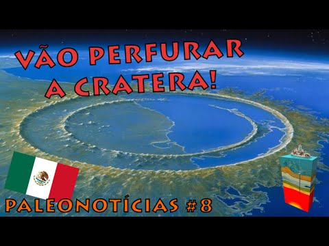 Vídeo: Os Cientistas Investigaram A Cratera Do Meteorito Que Matou Os Dinossauros - Visão Alternativa