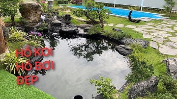 Tham Quan 2 hồ koi đẹp || Cá Koi Vlog Trần Đức Cường