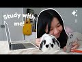 Study with me  bunnies edition with a spin 