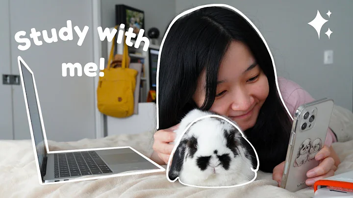 Study with me | Bunnies edition with a spin!