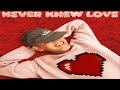Riton & Belters Only feat. Enisa - Never Knew Love