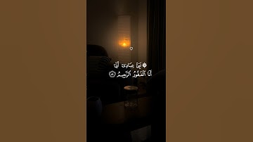 هزاع البلوشي تلاوة هادئة ومؤثرة أرح سمعك ♡ #هزاع_البلوشي #short