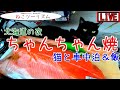 【猫と車中泊】北海道のCCY