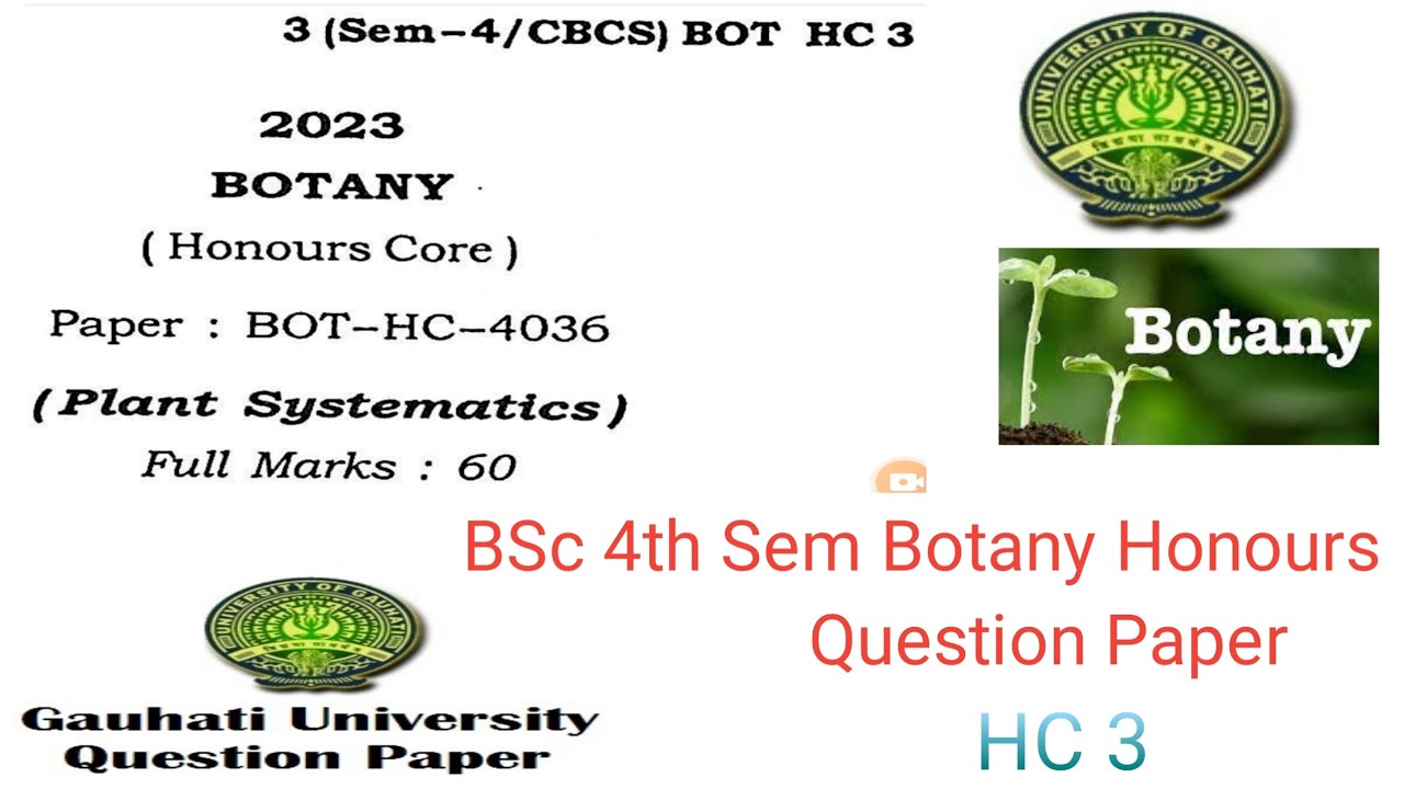 BSc 4th sem botany honours question paper plant systematics Guwahati