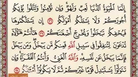 سورة محمد من 33 الى 38