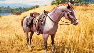 CABALLO DE AZUCAR | RED DEAD REDEMPTION 2