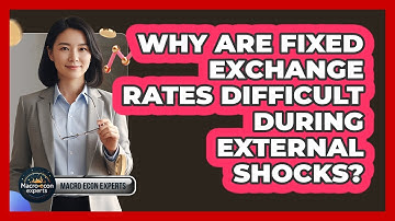 Why Are Fixed Exchange Rates Difficult During External Shocks? - Macroecon Experts