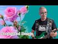 🎼 🎸🌹 “Setangkai Bunga” @transformasikesadaran #slowrock
