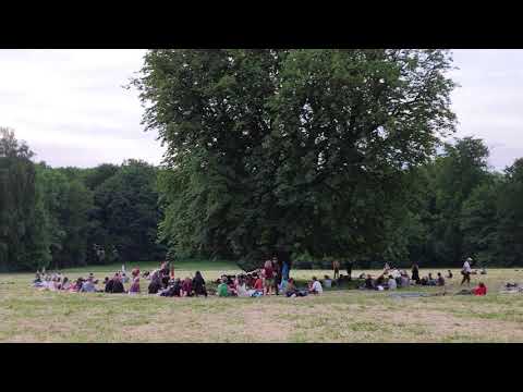 Video: Externstein - Himmlers Stonehenge - Alternativ Visning