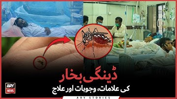 All you need to know about Dengue virus & its sudden rise in Pakistan