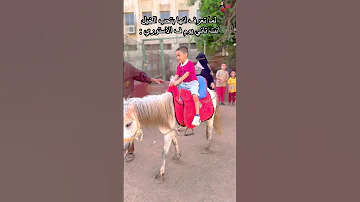 لما تعرف انها بتحب الخيل هههههه كوميديات هتضحك سباحه فرفشة كوميدي ترند تيك توك اكسبلور 