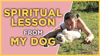 Spiritual Lesson from My Dog (Money, Business, Life)