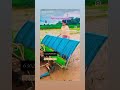 #bestqualityinricetransplanters #ralo #ralowalkbehandricetransplanter