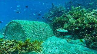 Sa ganitong spot malakas ang fishtrap halos magsiksikan sa huli