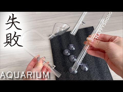 AQUArium】念願のリリィパイプを設置/Amazonで購入 #103 - YouTube