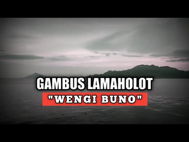 GAMBUS FLORES TIMUR LAMAHOLOT NTT - WENGI BUNO class=