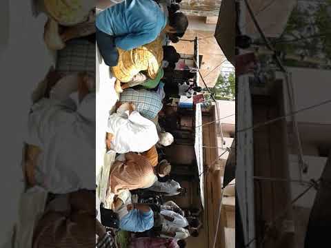 Nadia north division postal (gds) strike