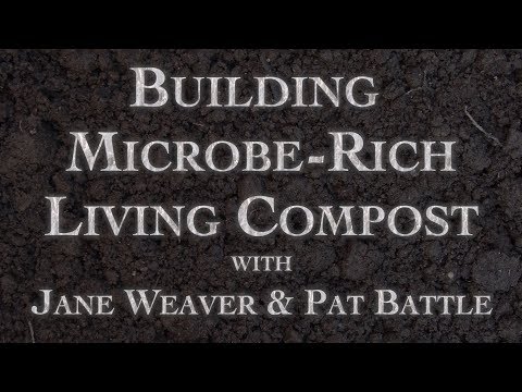 Building Microbe-Rich Living Compost Part 1