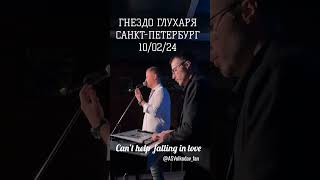 Александр Волкодав "Can’t help falling in love " Санкт-Петербург, ГНЕЗДО ГЛУХАРЯ 10/02/24 #volkodav