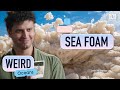 Sea foam what causes this land bubble bath  weird oceans  abc science