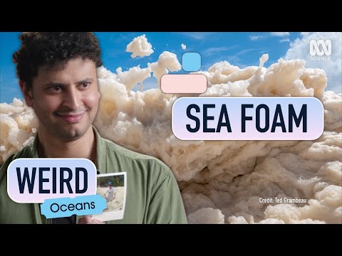 Video: De unde vine spuma de mare?