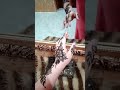 رسمات حناء نقشات حناء خليجي عربي عراقي
