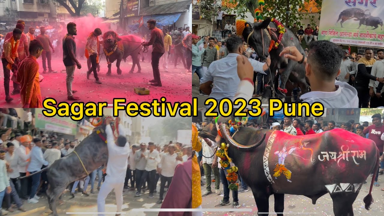 Ganesh Peth Dudhbhatti SAGAR Festival 2023 Pune | गणेश पेठ दुधभट्टी सगर उत्सव् २०२३ पुणे